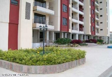 Budget Furnished apartment in Nairobi