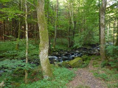 Holiday House in Waldkirchen (Lower Bavaria) or holiday homes and vacation rentals