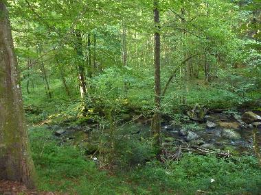 Holiday House in Waldkirchen (Lower Bavaria) or holiday homes and vacation rentals