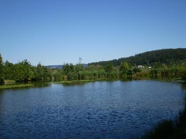 Holiday House in Waldkirchen (Lower Bavaria) or holiday homes and vacation rentals