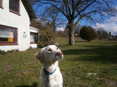 Holiday Apartment in Malente-Krummsee (Holsteinische Schweiz) or holiday homes and vacation rentals
