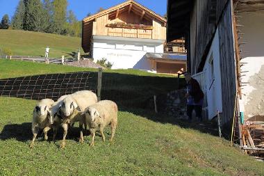 Villa in  St. Christina in Gr�den (Bolzano-Bozen) or holiday homes and vacation rentals