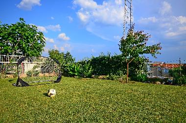 Holiday Apartment in Kastel Sucurac (Splitsko-Dalmatinska) or holiday homes and vacation rentals