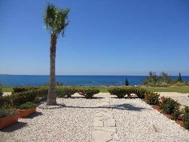 Holiday Apartment in Paphos (Paphos) or holiday homes and vacation rentals