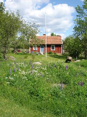 Holiday House in Hultsfred (Smaland) or holiday homes and vacation rentals