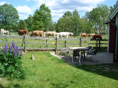 Holiday House in Hultsfred (Smaland) or holiday homes and vacation rentals