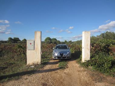 Holiday House in San Pietro in Bevagna (Taranto) or holiday homes and vacation rentals