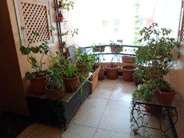 Holiday Apartment in Agadir (Agadir) or holiday homes and vacation rentals