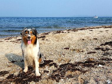 Holiday Apartment in Schnberg (Ostsee-Festland) or holiday homes and vacation rentals