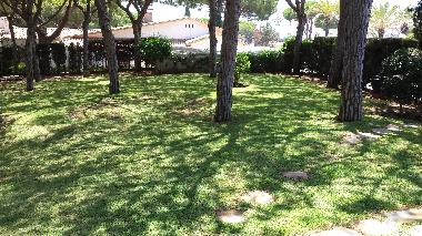 Holiday House in Clahonda (Mlaga) or holiday homes and vacation rentals
