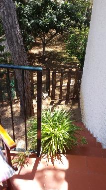 Holiday House in Clahonda (Mlaga) or holiday homes and vacation rentals