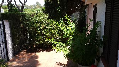 Holiday House in Clahonda (Mlaga) or holiday homes and vacation rentals