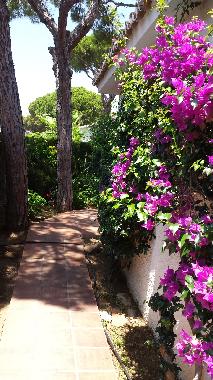 Holiday House in Clahonda (Mlaga) or holiday homes and vacation rentals