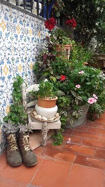 Bed and Breakfast in Vlez Mlaga (Mlaga) or holiday homes and vacation rentals