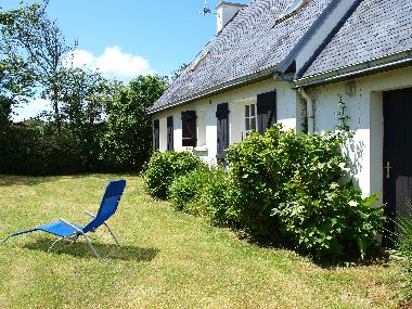 back garden