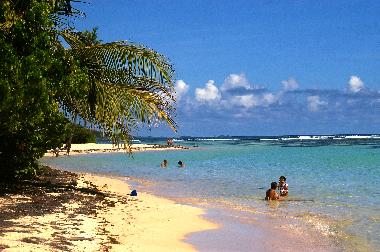 Holiday Apartment in LE GOSIER (Guadeloupe) or holiday homes and vacation rentals