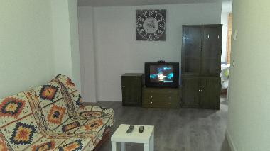 Holiday Apartment in ZARAGOZA (Zaragoza) or holiday homes and vacation rentals