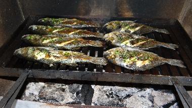 Villa in Rakalj (Istarska) or holiday homes and vacation rentals