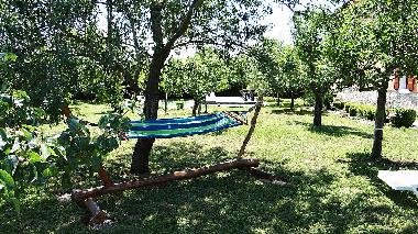 Villa in Rakalj (Istarska) or holiday homes and vacation rentals