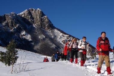 Bed and Breakfast in Ogulin (Karlovacka) or holiday homes and vacation rentals