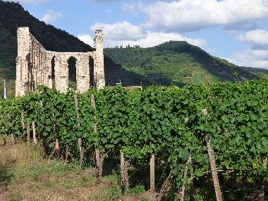 Holiday Apartment in Alf (Mosel - Saar) or holiday homes and vacation rentals