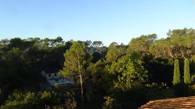 Villa in Lorgues (Var) or holiday homes and vacation rentals