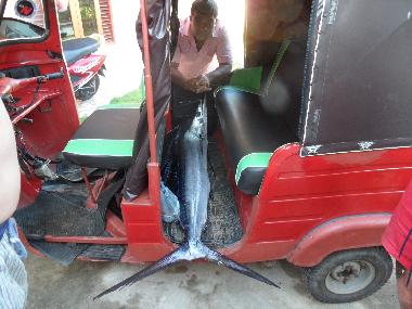 Bed and Breakfast in Thiranagama (Galle) or holiday homes and vacation rentals