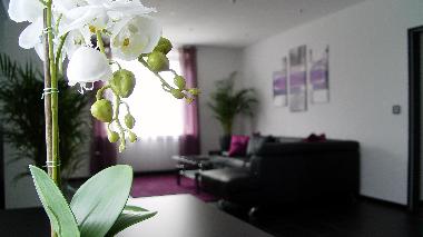 Holiday Apartment in Lotte / Osnabrck (Osnabrcker Land) or holiday homes and vacation rentals