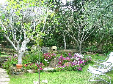 Holiday House in Costa Rei (Muravera Cagliari)Italia (Cagliari) or holiday homes and vacation rentals