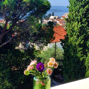 Bed and Breakfast in Bol (Splitsko-Dalmatinska) or holiday homes and vacation rentals