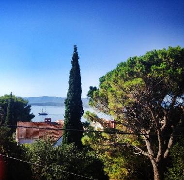 Bed and Breakfast in Bol (Splitsko-Dalmatinska) or holiday homes and vacation rentals