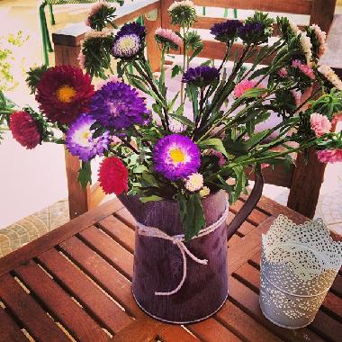 Bed and Breakfast in Bol (Splitsko-Dalmatinska) or holiday homes and vacation rentals