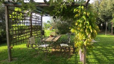 Holiday Apartment in Piegaro (Perugia) or holiday homes and vacation rentals
