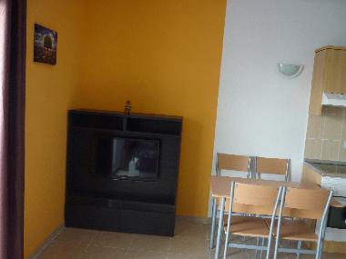 Holiday Apartment in Adeje (Teneriffa) or holiday homes and vacation rentals