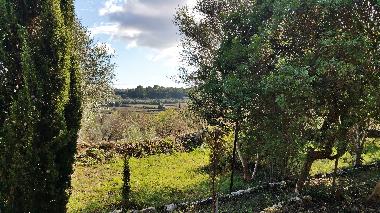 Holiday rental Villa Cas Padri in Muro. Mallorca.3