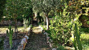 Holiday rental Villa Cas Padri in Muro. Mallorca.5