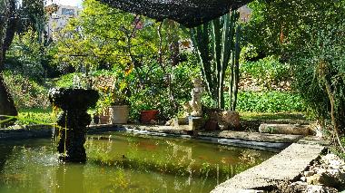 Holiday rental Villa Cas Padri in Muro. Mallorca.6