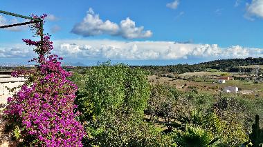 Holiday rental Villa Cas Padri in Muro. Mallorca.8