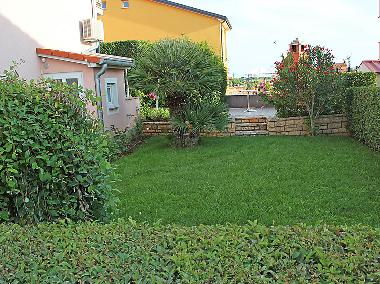 Holiday House in Novigrad (Istarska) or holiday homes and vacation rentals