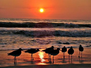 Holiday House in Longboat Key (Florida) or holiday homes and vacation rentals