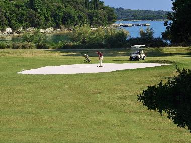 Holiday Apartment in Fazana (Istarska) or holiday homes and vacation rentals