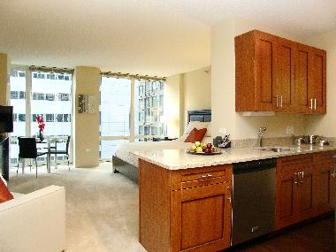 Holiday Apartment in Chicago (Illinois) or holiday homes and vacation rentals