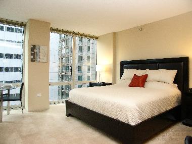 Holiday Apartment in Chicago (Illinois) or holiday homes and vacation rentals