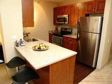 Holiday Apartment in Chicago (Illinois) or holiday homes and vacation rentals