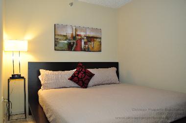 Holiday Apartment in Chicago (Illinois) or holiday homes and vacation rentals