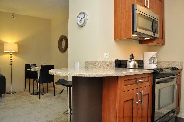 Holiday Apartment in Chicago (Illinois) or holiday homes and vacation rentals
