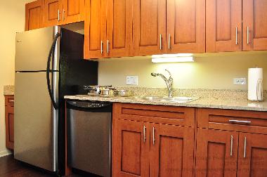 Holiday Apartment in Chicago (Illinois) or holiday homes and vacation rentals