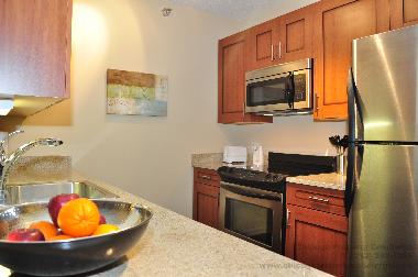 Holiday Apartment in Chicago (Illinois) or holiday homes and vacation rentals