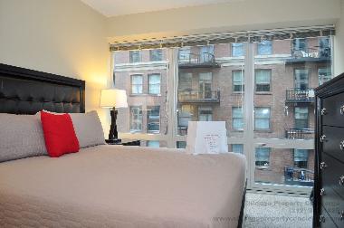 Holiday Apartment in Chicago (Illinois) or holiday homes and vacation rentals