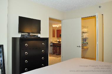 Holiday Apartment in Chicago (Illinois) or holiday homes and vacation rentals